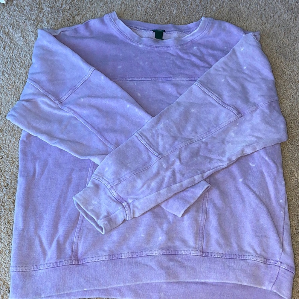 Wild fable purple painters crewneck
